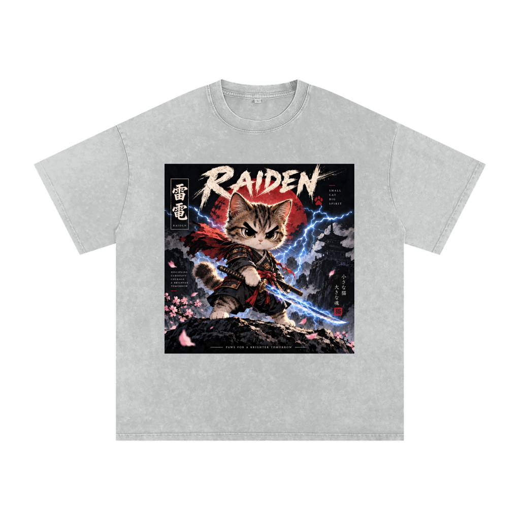 ⚡ Raiden