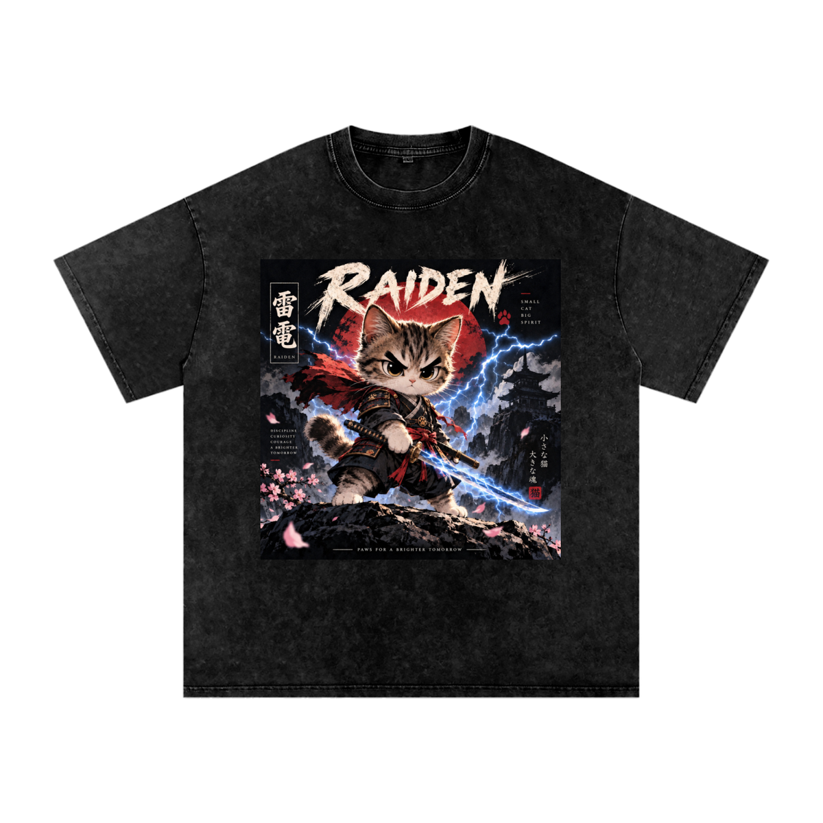 ⚡ Raiden
