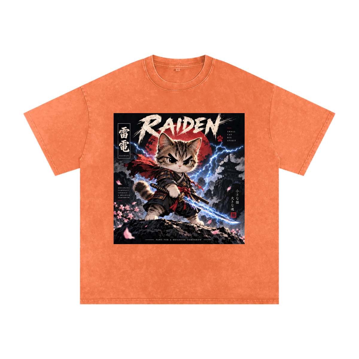 ⚡ Raiden