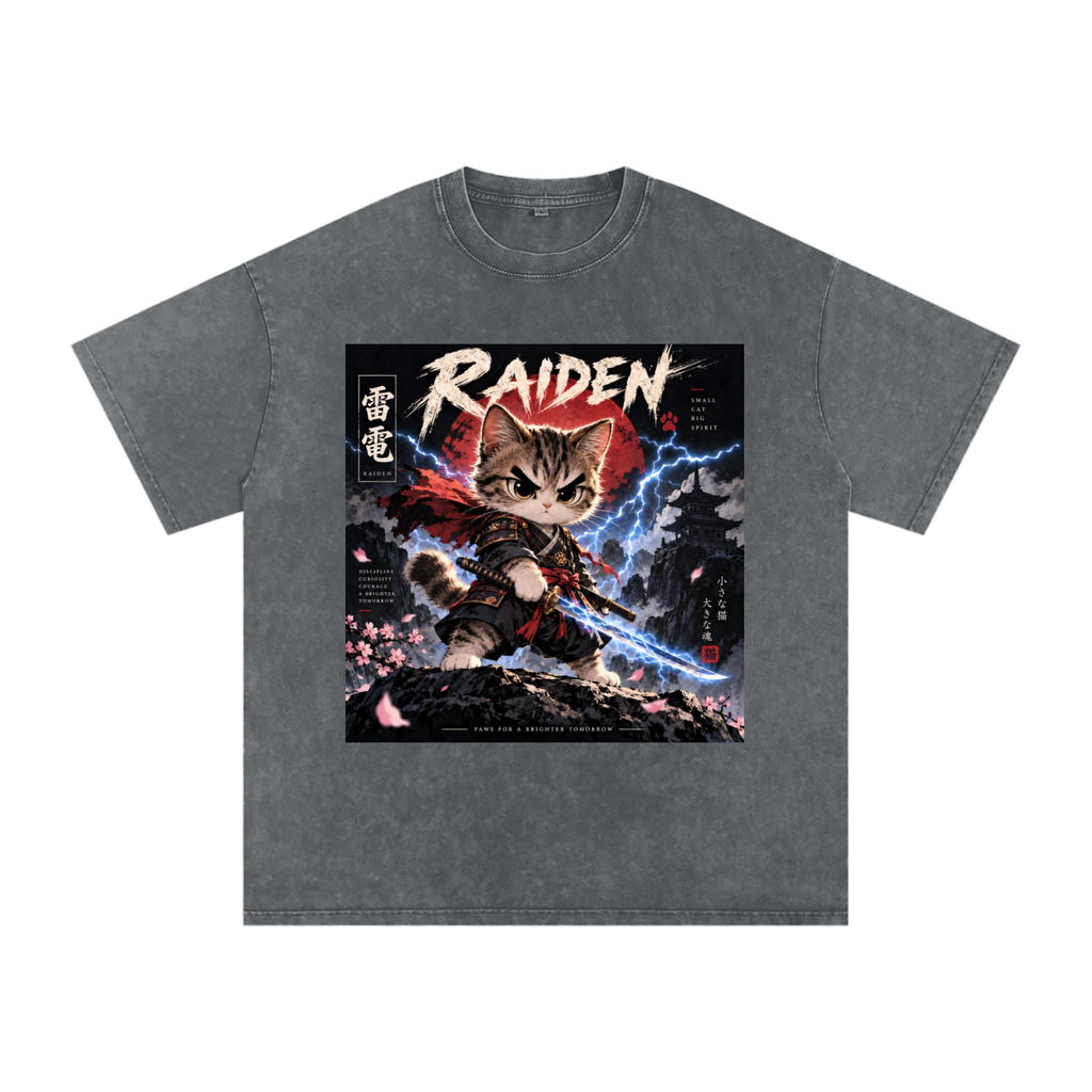 ⚡ Raiden