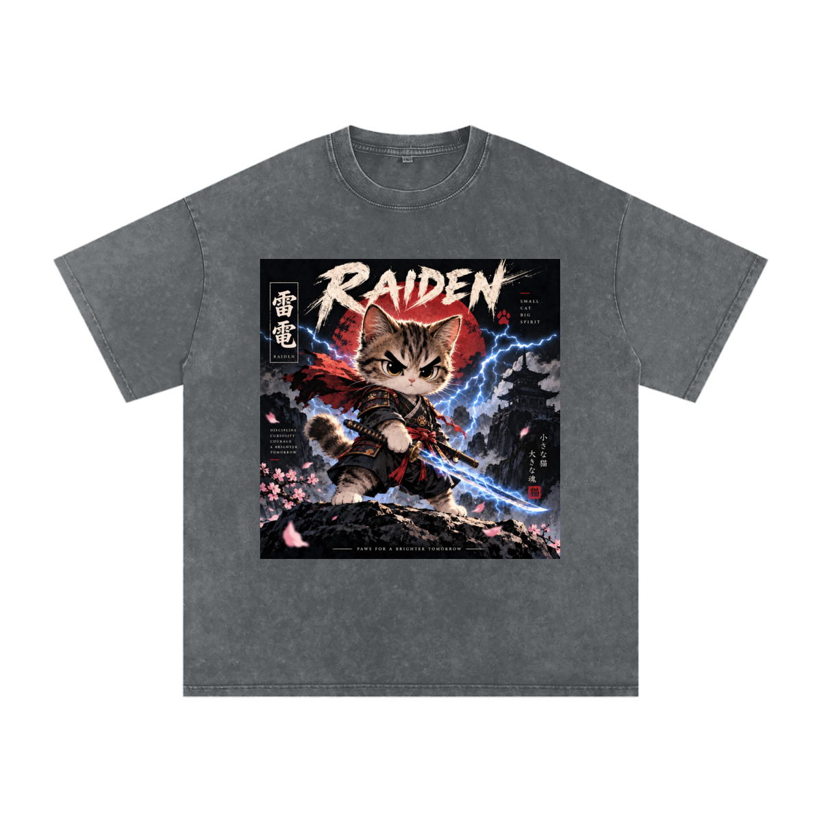 ⚡ Raiden