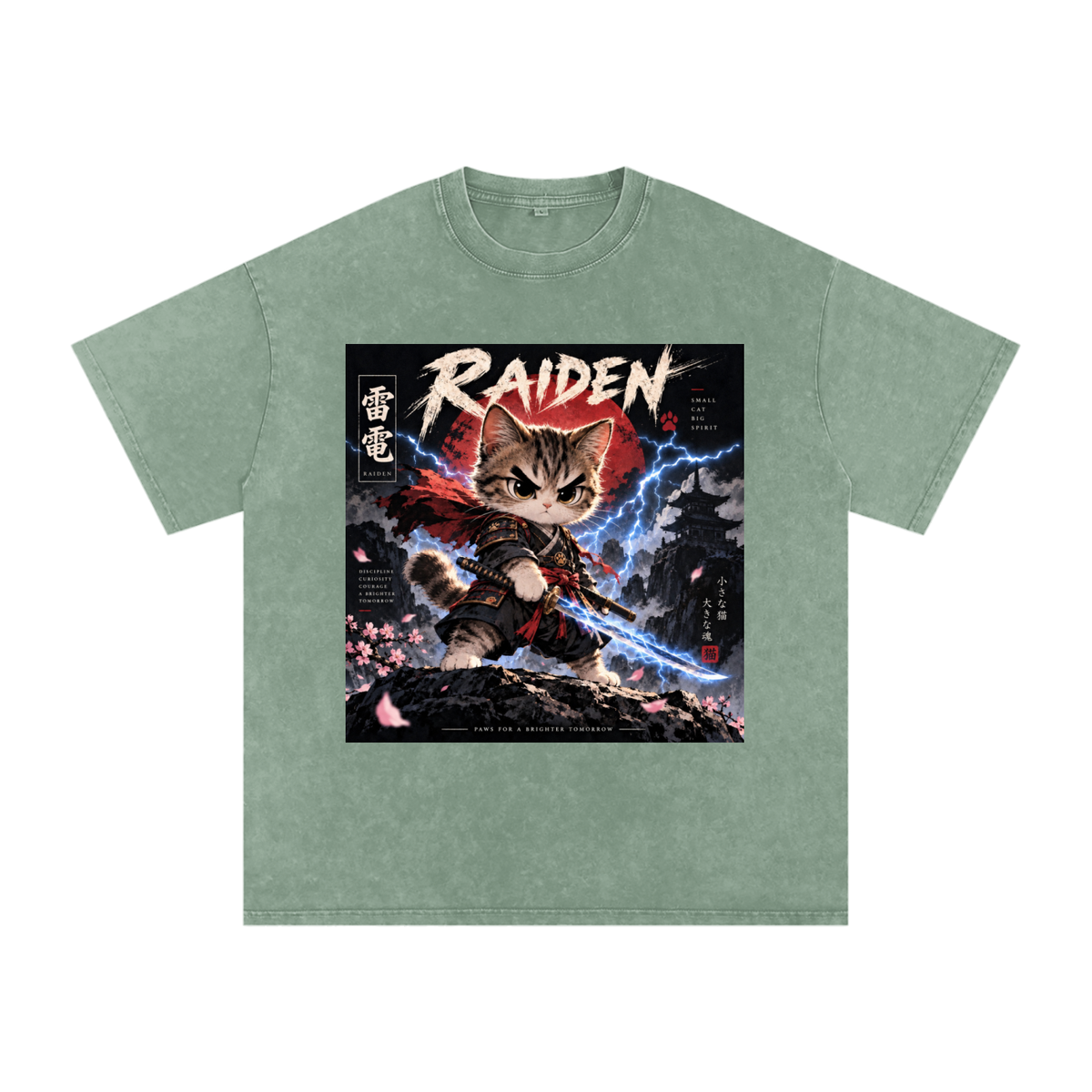 ⚡ Raiden